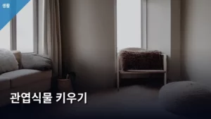 초보자도 성공하는 관엽식물 키우기 A to Z 가이드