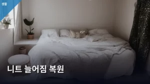 니트 늘어짐 복원, 옷장 속 소중한 옷 되살리는 비법 대공개