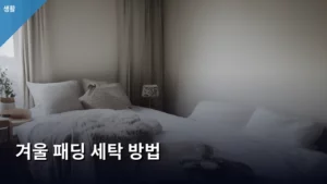 매년 고민하는 겨울 패딩 세탁 방법, 이것만 알면 끝이다