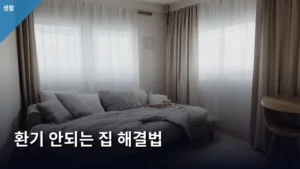 환기 안되는 집 냄새와 습기, 완벽 해결하는 생활 정보