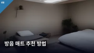 완벽한 공간을 위한 방음 매트 추천 방법 총정리