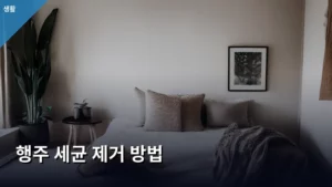행주 세균 제거 방법, 주방 위생 지키는 생활 꿀팁 대방출