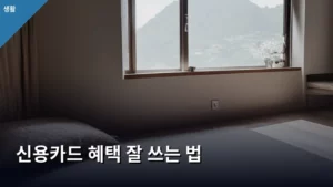 신용카드 혜택 잘 쓰는 법, 이것만 알면 알뜰 쇼핑 끝판왕이다