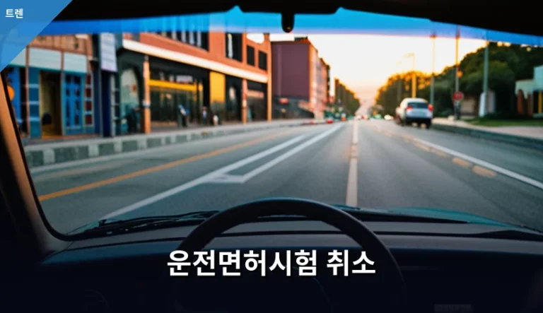 운전면허시험 취소 사유와 구제 방법 및 주의사항 정리