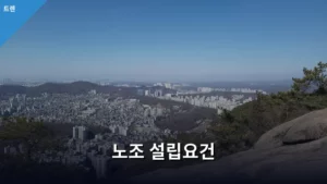노조 설립요건 및 행정 절차와 주의사항 총정리