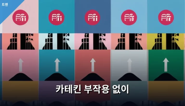 카테킨 부작용 없이 안전하게 섭취하는 방법과 주의사항
